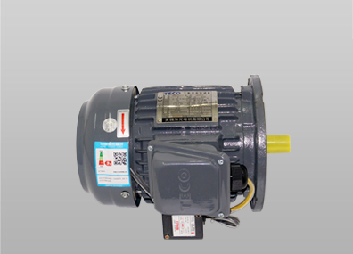 ETVF立式東元剎車電機