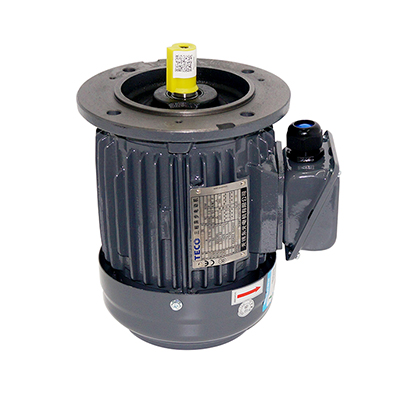 AEVF 1HP 0.75KW 4P東元電機